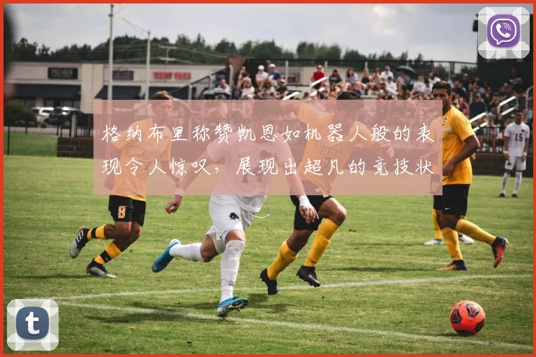 格纳布里称赞凯恩如机器人般的表现令人惊叹，展现出超凡的竞技状态
