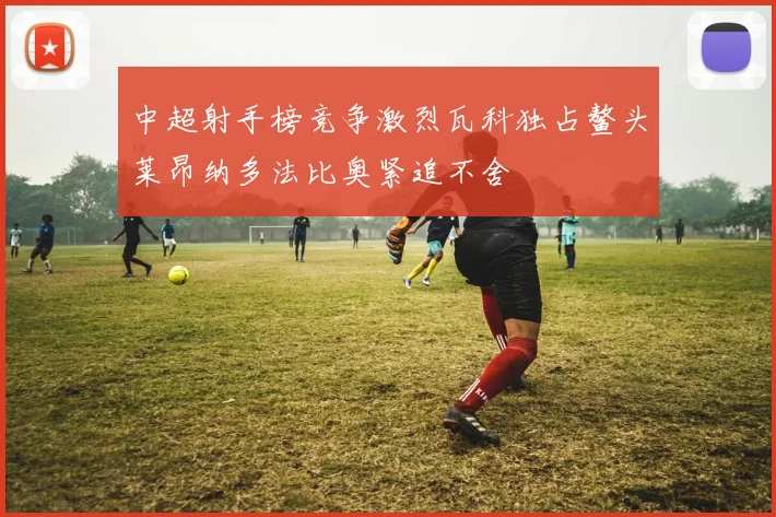 中超射手榜竞争激烈瓦科独占鳌头莱昂纳多法比奥紧追不舍